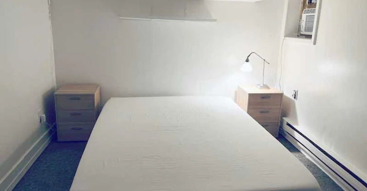 Lower-2 Page Street, Toronto, ON, M6G 1J2 - 8