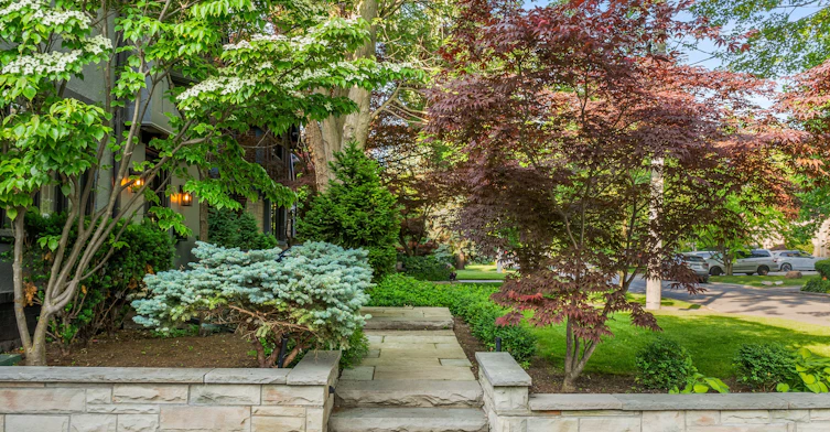 16 Elderwood Drive, Toronto, ON, M5P 1W5 - 3