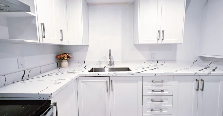 Lower-30 Lowbank Court, Toronto, ON, M2M 3A4 - 8