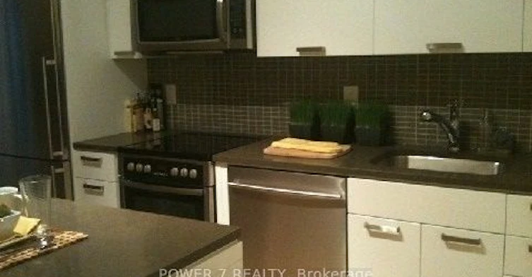 2411-295 Adelaide Street W, Toronto, ON, M5V 1R1 - 4