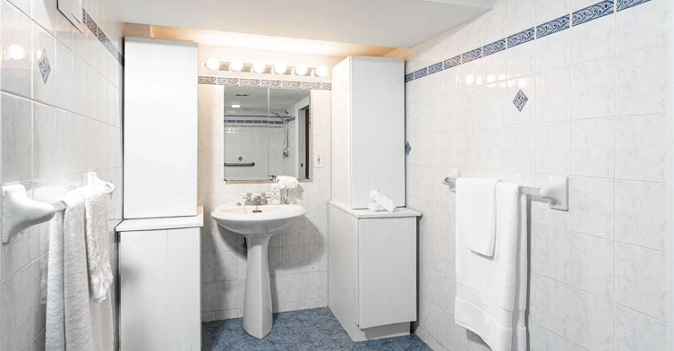 Lower-213 Shaw Street, Toronto, ON, M6J 2W7 - 6