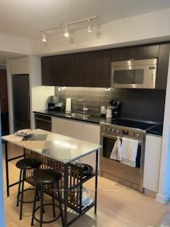 301-75 Queens Wharf Road, Toronto, ON, M5V 0J8 - 3