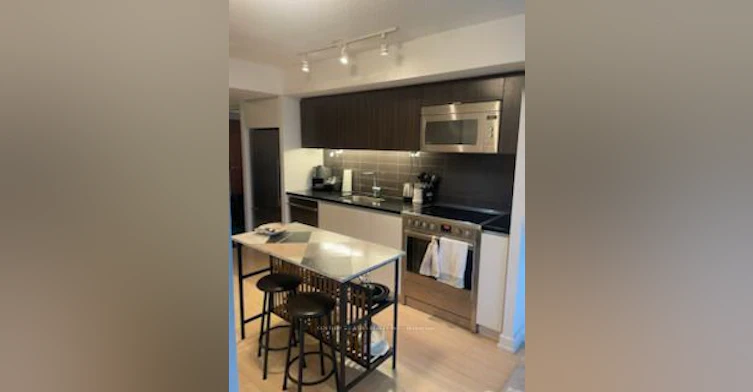 301-75 Queens Wharf Road, Toronto, ON, M5V 0J8 - 3