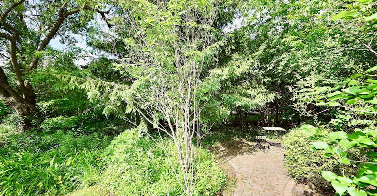 89 Yonge Boulevard, Toronto, ON, M5M 3G8 - 27