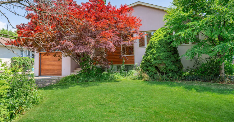 49 Tottenham Road, Toronto, ON, M3C 2J5 - 2