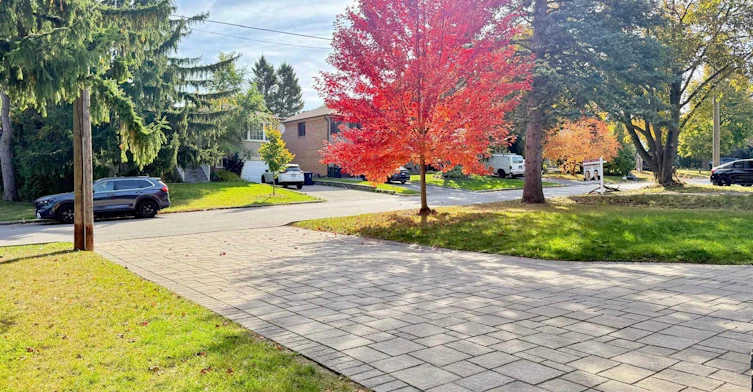 Basemnt-56 Lloydminster Crescent, Toronto, ON, M2M 2S1 - 17