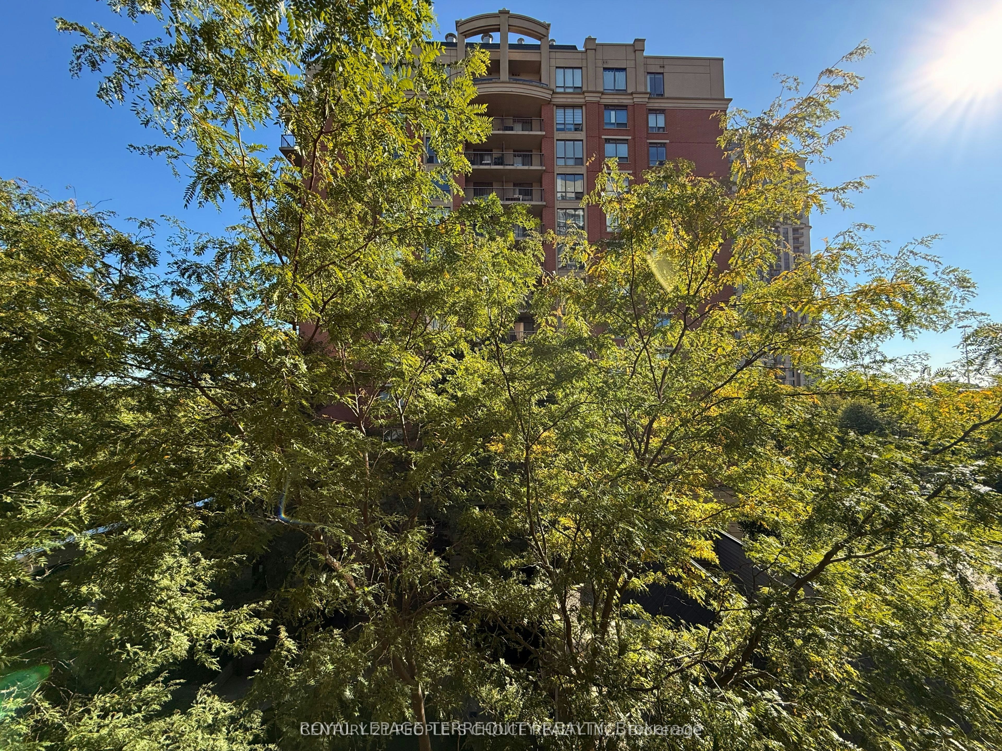 505-51 Harrison Garden Boulevard, Toronto, ON, M2N 7G4 - 11