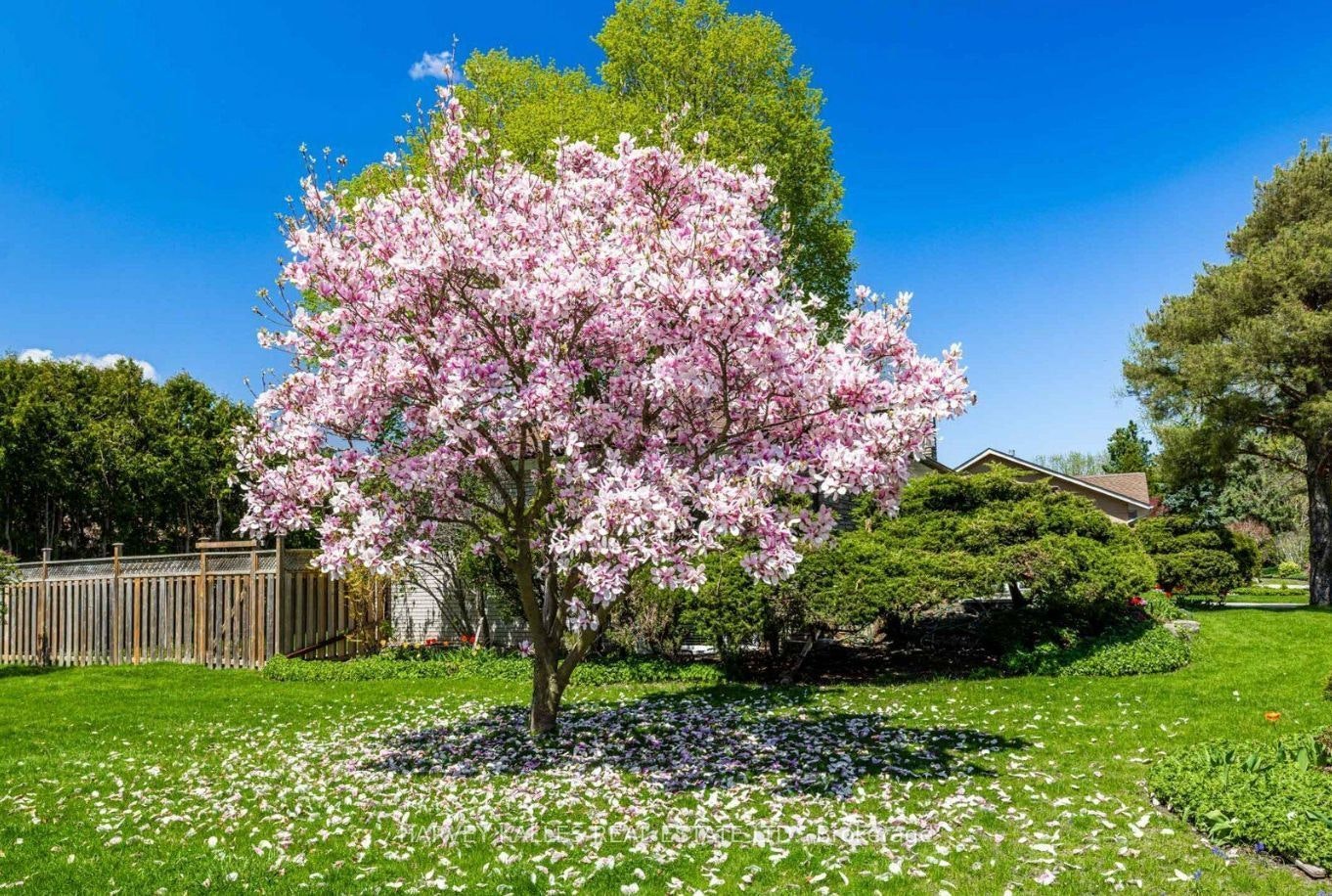 5 Parmbelle Crescent, Toronto, ON, M3A 3G5 - 2