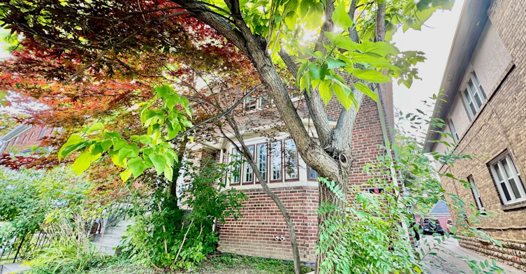Lower Apartment-1196 Avenue Road, Toronto, ON, M5N 2G1 - 28