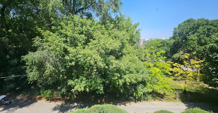 5-450 Arlington Avenue, Toronto, ON, M6C 3A2 - 7