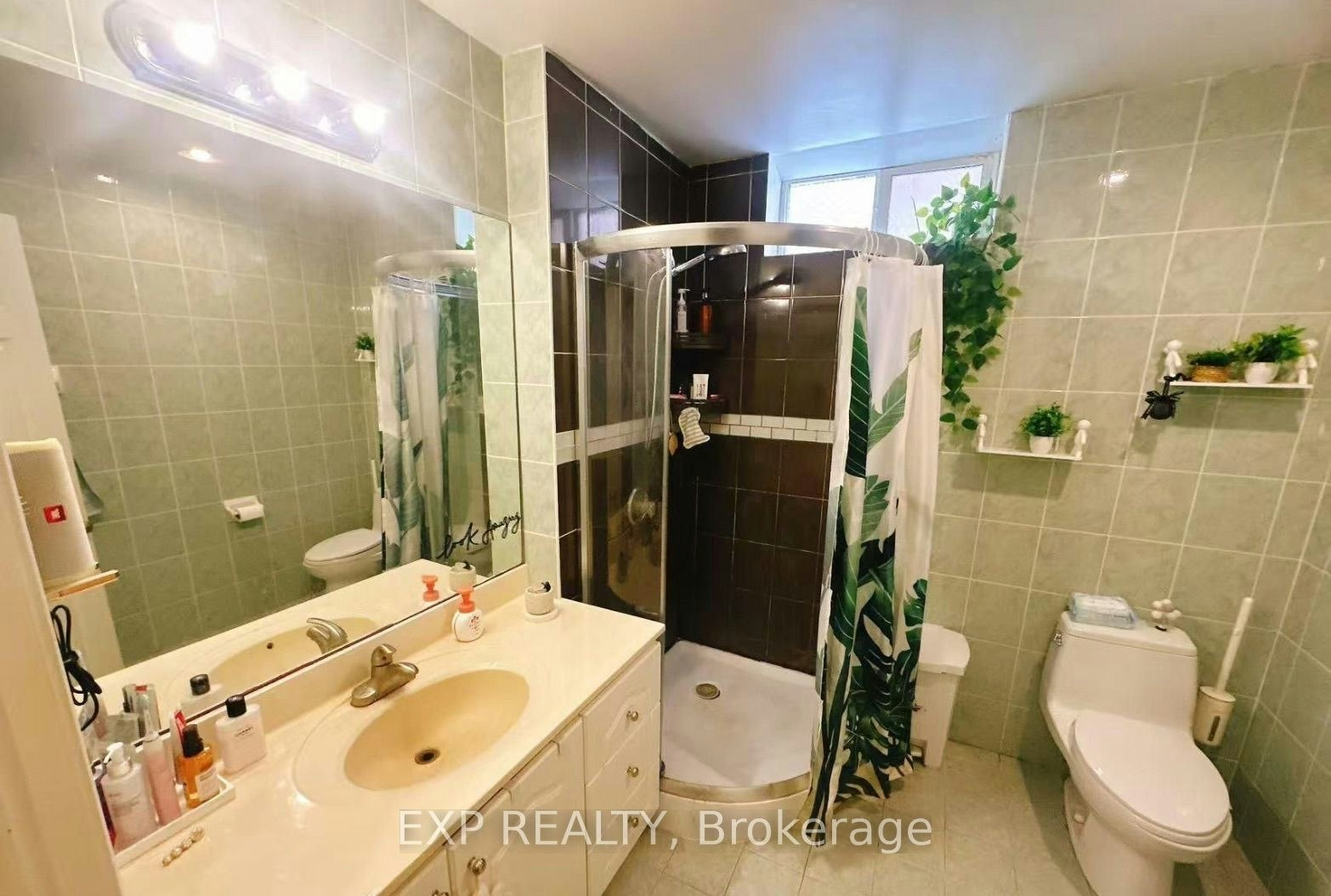 Basement-123 Steeles Avenue E, Toronto, ON, M2M 3Y5 - 3