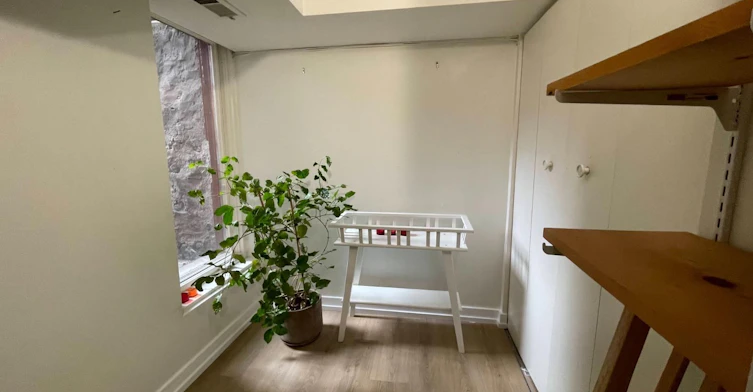 Basement-21 Palmerston Gardens, Toronto, ON, M6G 1V8 - 12