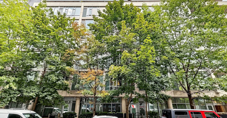 512-66 Portland Street, Toronto, ON, M5V 2M6 - 21