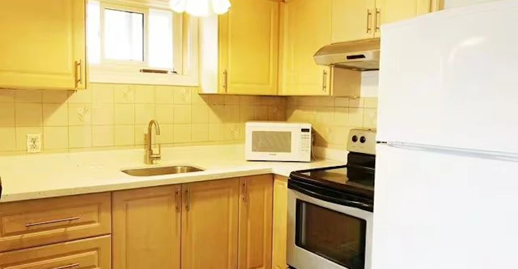 95 Shawnee(basement) Circle, Toronto, ON, M2H 2X9 - 2