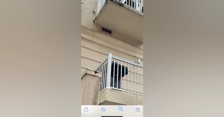 Gt9-539 Jarvis Street, Toronto, ON, M4Y 2H7 - 17