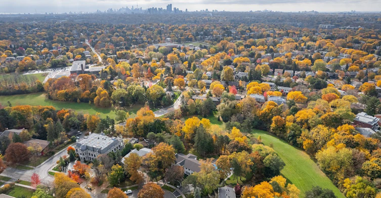 34 Fifeshire Road, Toronto, ON, M2L 2G6 - 40
