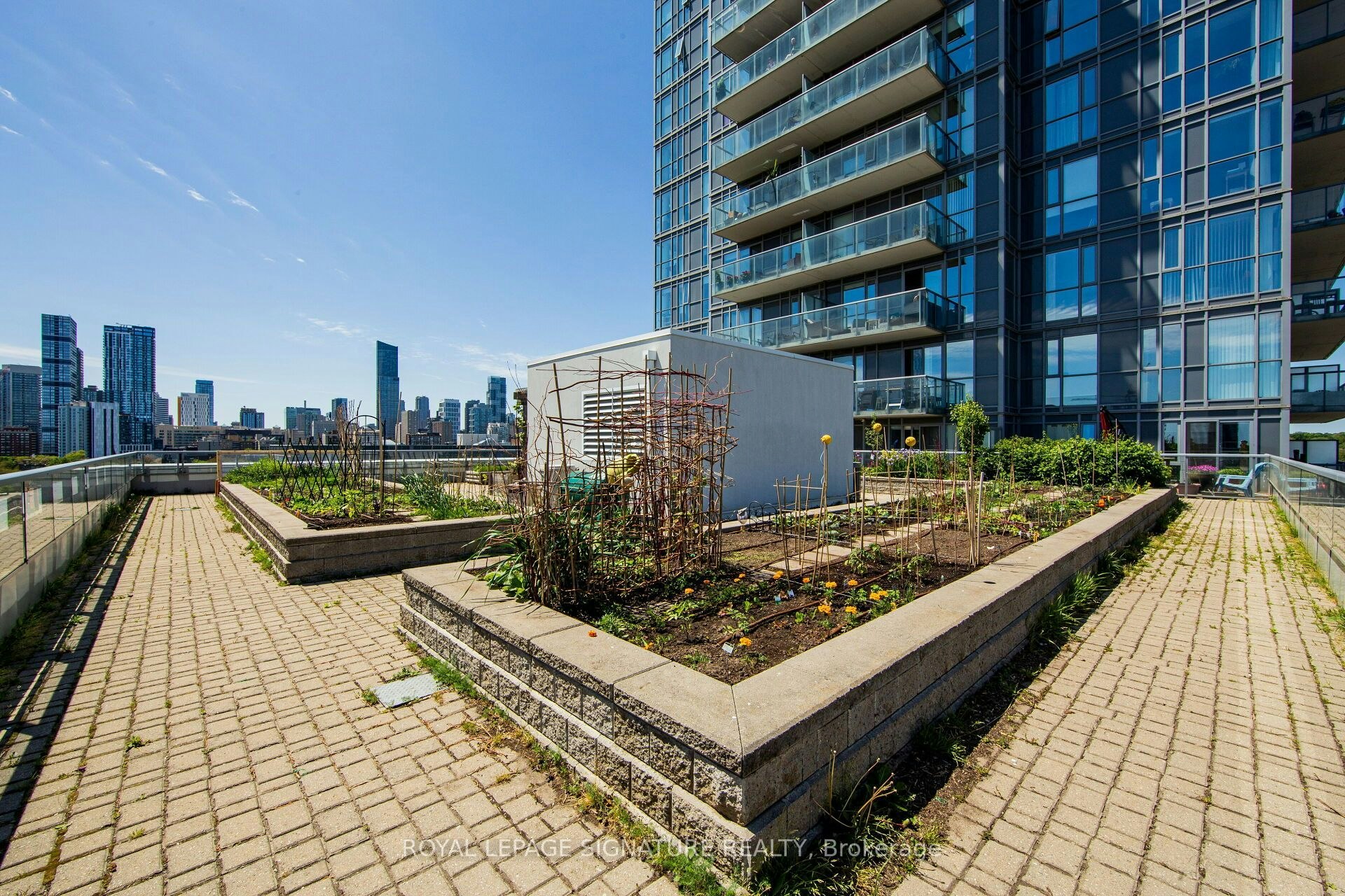 1007-25 Cole Street, Toronto, ON, M5A 4M3 - 27