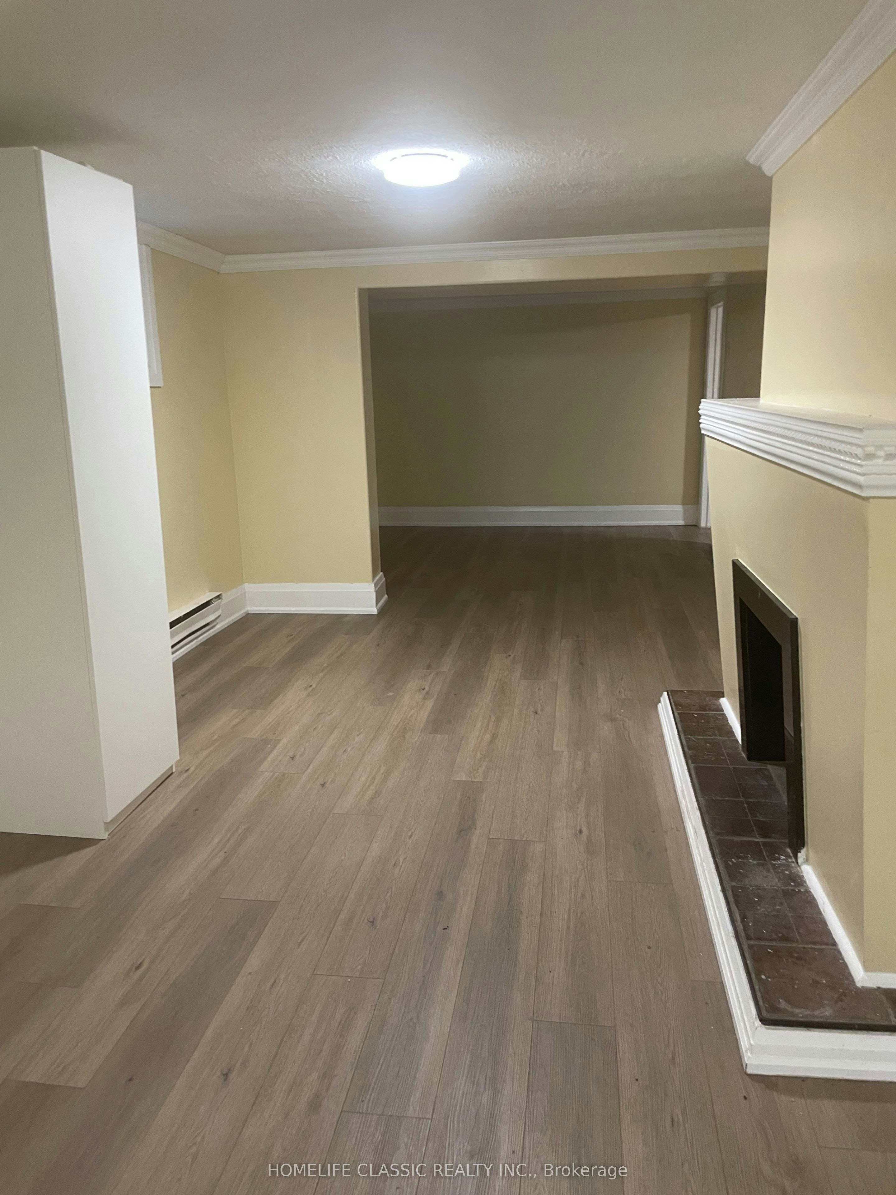 LOWER-31 Madawaska Avenue, Toronto, ON, M2M 2R1 - 3