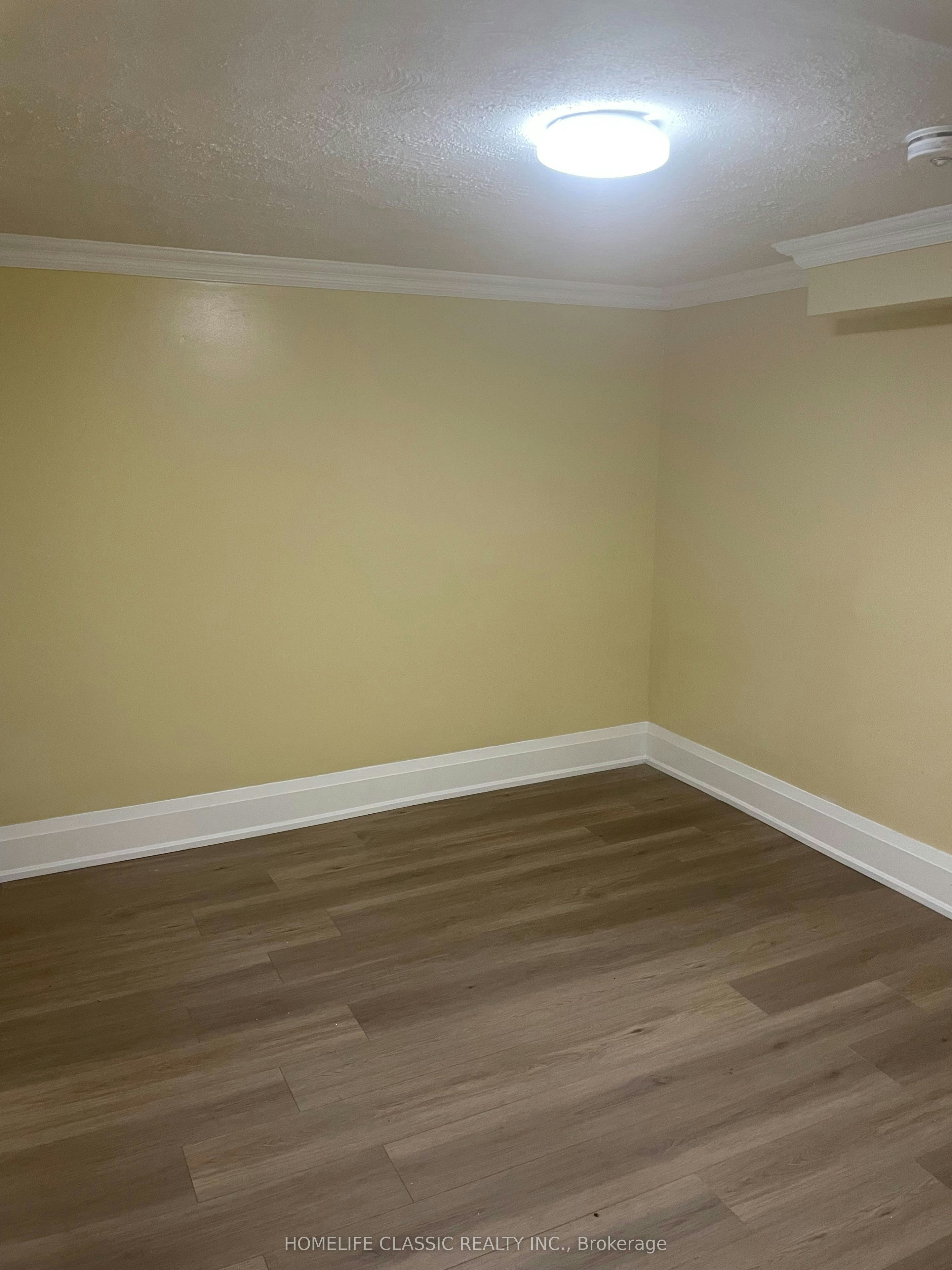 LOWER-31 Madawaska Avenue, Toronto, ON, M2M 2R1 - 9