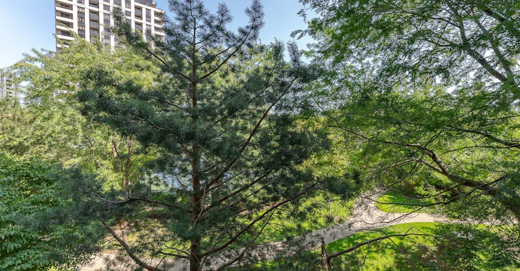 318-80 Harrison Garden Boulevard, Toronto, ON, M2N 7E3 - 22
