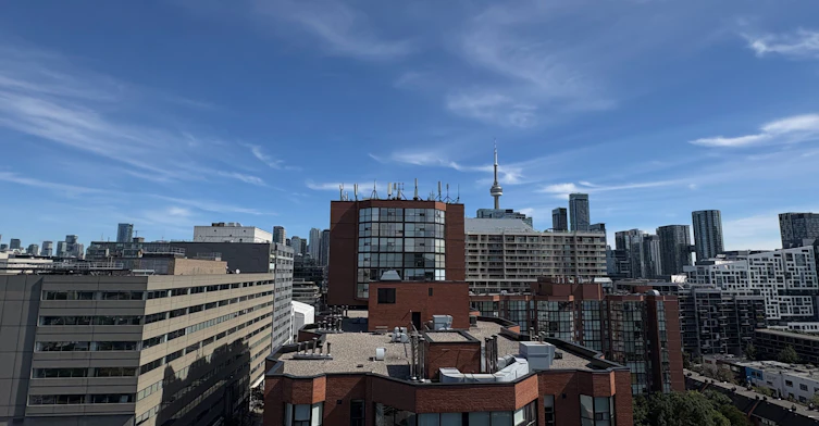 1609-78 Tecumseth Street, Toronto, ON, M5V 0A9 - 10