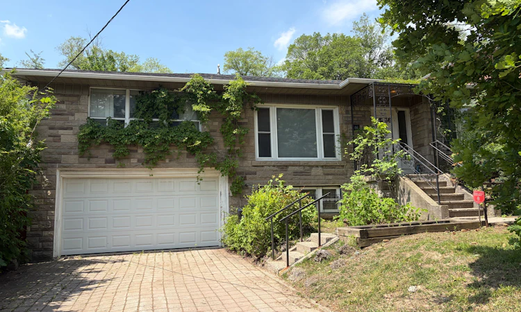 36 Forest Wood