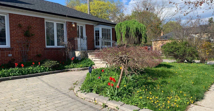 374 Horsham Avenue, Toronto, ON, M2R 1G9