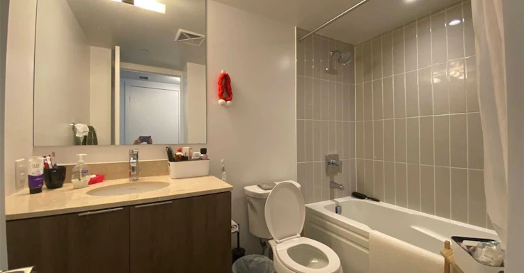 1612-955 Bay Street, Toronto, ON, M5S 2A2 - 12