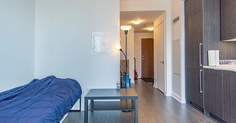 2003-38 Iannuzzi Street, Toronto, ON, M5V 0S2 - 7