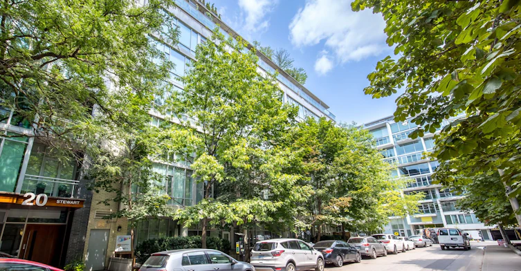 PH 805-66 Portland Street, Toronto, ON, M5V 2M6 - 37