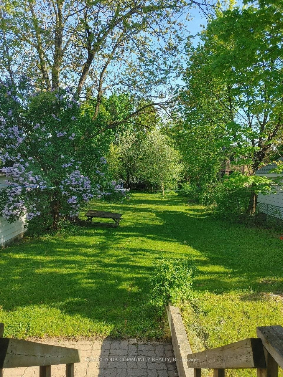 Main Floor-82 Caines Avenue, Toronto, ON, M2R 2L3 - 5