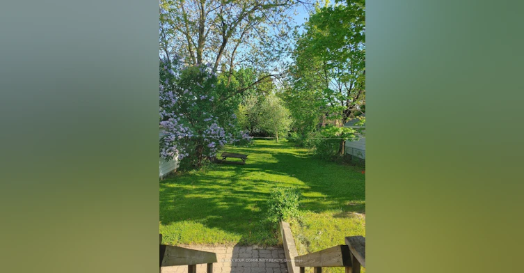 Main Floor-82 Caines Avenue, Toronto, ON, M2R 2L3 - 5