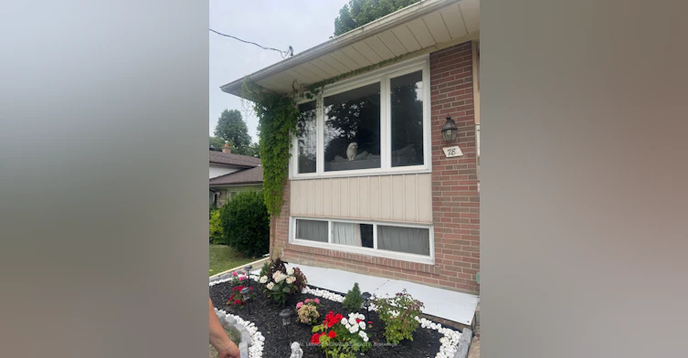78 Willesden Road, Toronto, ON, M2H 1V7 - 2