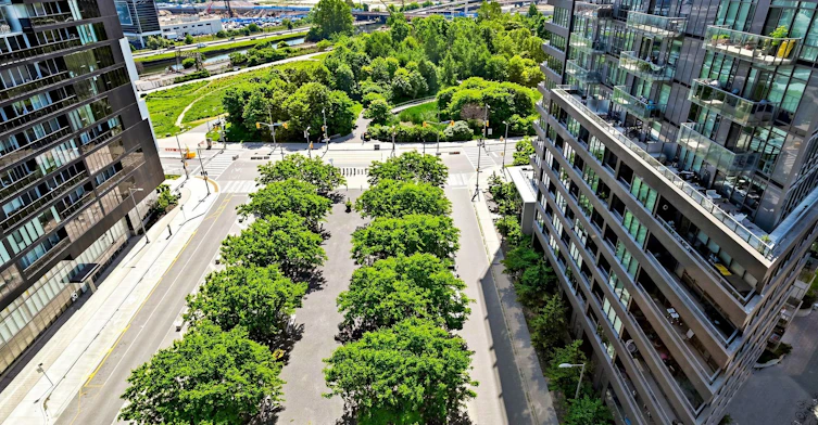 801-21 Lawren Harris Square, Toronto, ON, M5A 0T4 - 26
