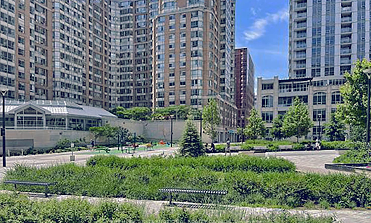 1715-711 Bay Street