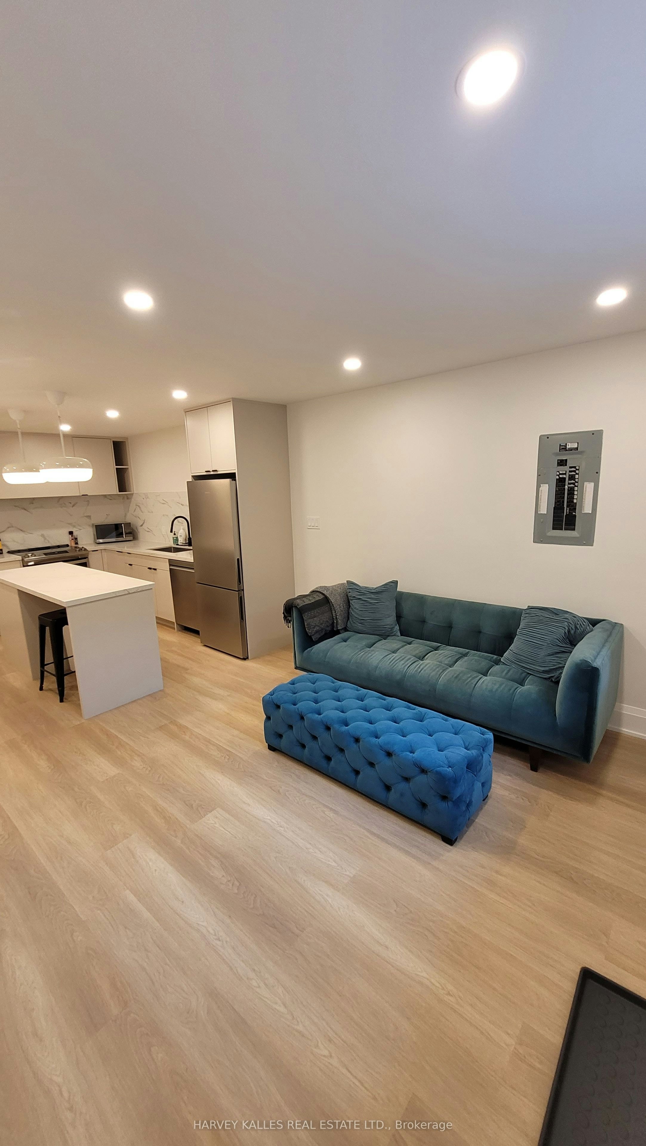 Lower-66 Argyle Street, Toronto, ON, M6J 1N9 - 3