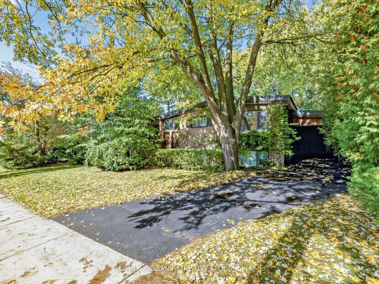 91 Larkfield Drive, Toronto, ON, M3B 2H6