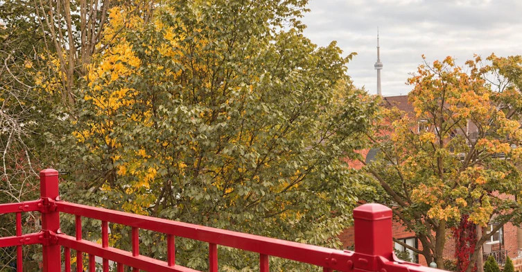 3-57 Hepbourne Street, Toronto, ON, M6H 1K4 - 9
