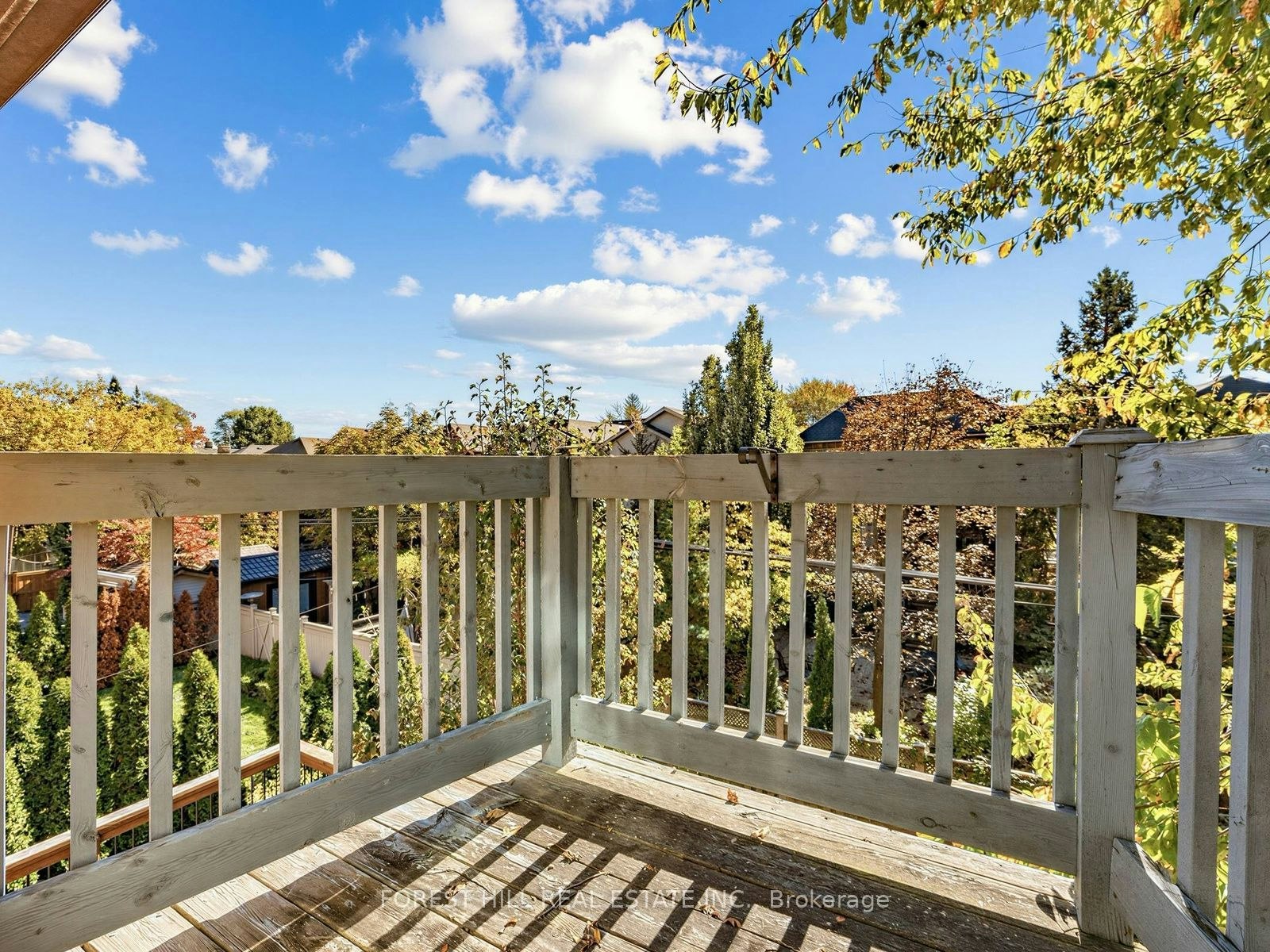 481 Cranbrooke Avenue, Toronto, ON, M5M 1N6 - 37