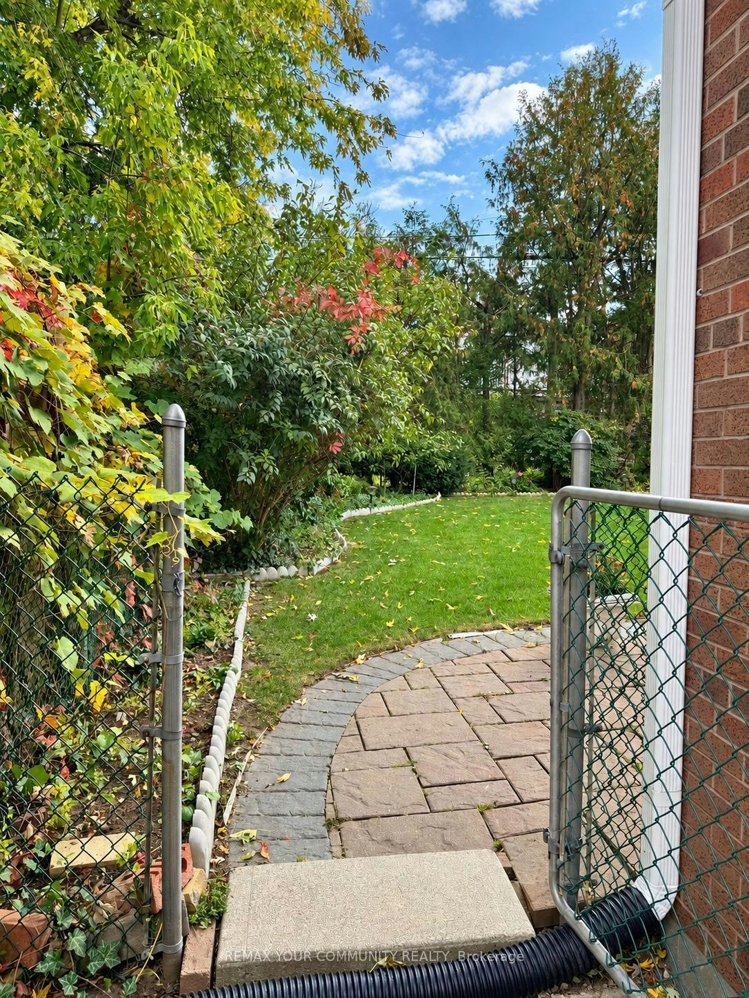 Bsmnt-85 Patricia Avenue, Toronto, ON, M2M 1J1 - 3