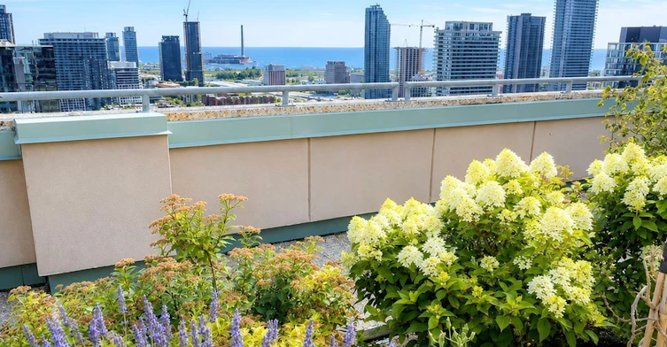 602-7 King Street E, Toronto, ON, M5C 3C5 - 14
