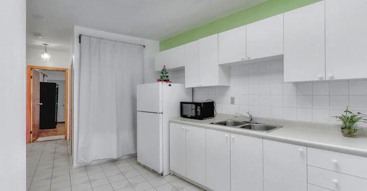 Apt #2-1584 Dundas Street W, Toronto, ON, M6K 1T8 - 7