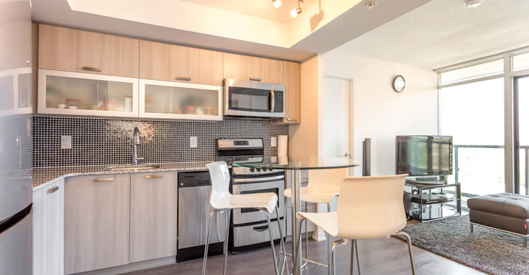 1716E-36 Lisgar Street, Toronto, ON, M6J 0C7 - 6