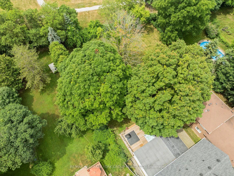 380 Rouge Hills Drive, Toronto, ON, M1C 2Z5 - 44