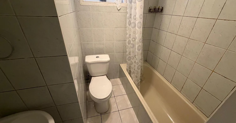 Basement-52 Grassington Crescent, Toronto, ON, M1G 1X5 - 19