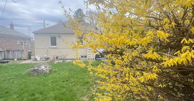 38 Ainsdale Road, Toronto, ON, M1R 3Y8 - 5