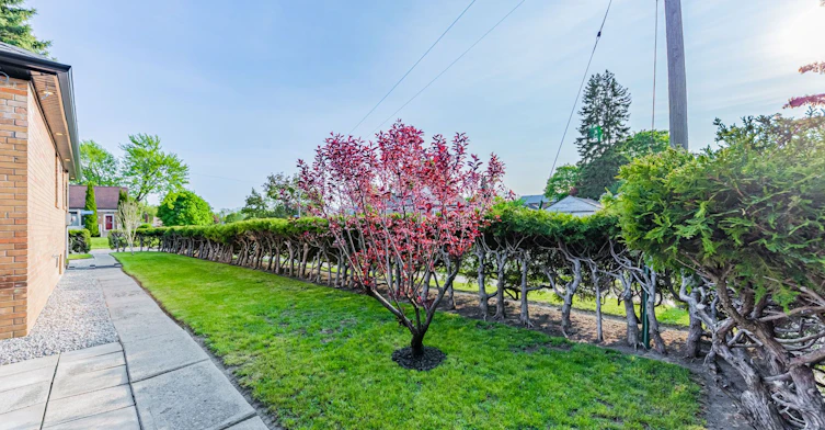 16 Boem Avenue, Toronto, ON, M1R 3T1 - 36