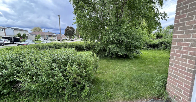 Bsmt-32 Andes Road, Toronto, ON, M1T 3B9 - 10