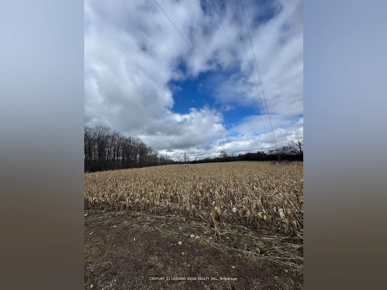8700 Coronation Road, Whitby, ON, L0B 1A0 - 5