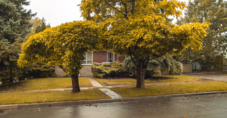 2 Brantwood Drive, Toronto, ON, M1H 2G6 - 13